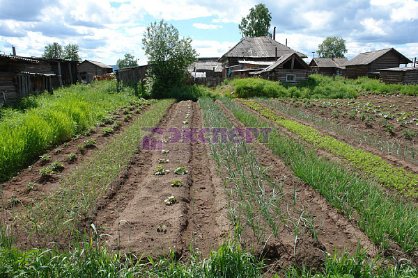 дом, 34.5 кв.м., Победы ул., 59