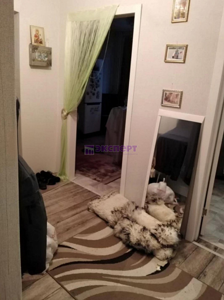 квартира, 55 кв.м., Новикова ул