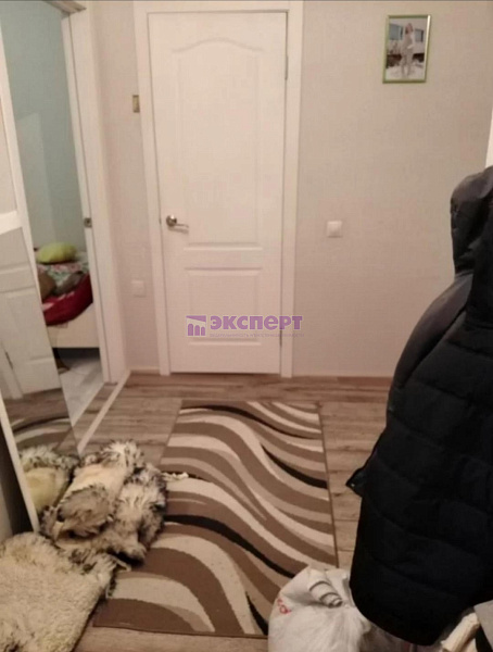 квартира, 55 кв.м., Новикова ул