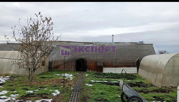 дом, 78 кв.м., Мира ул., 35 дом, 78 кв.м., Мира ул., 35