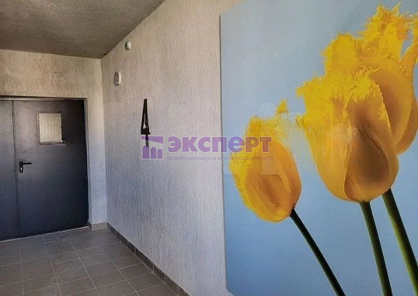 квартира, 36.7 кв.м., Свободы ул., 238 квартира, 36.7 кв.м., Свободы ул., 238