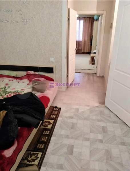 квартира, 55 кв.м., Новикова ул