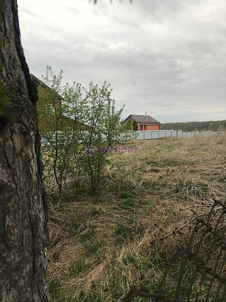 участок,  , 