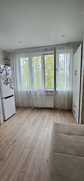 квартира, 24.5 кв.м., Свободы ул., 236 квартира, 24.5 кв.м., Свободы ул., 236